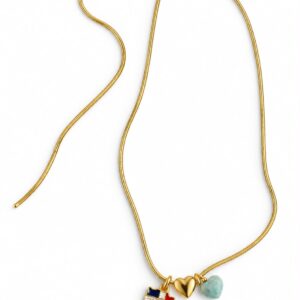 Cadena con silueta de RD